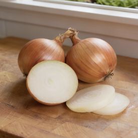 Scout, (F1) Onion Seeds